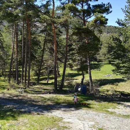 Les Pinees Ξενοδοχείο Chateauroux-les-Alpes Εξωτερικό φωτογραφία