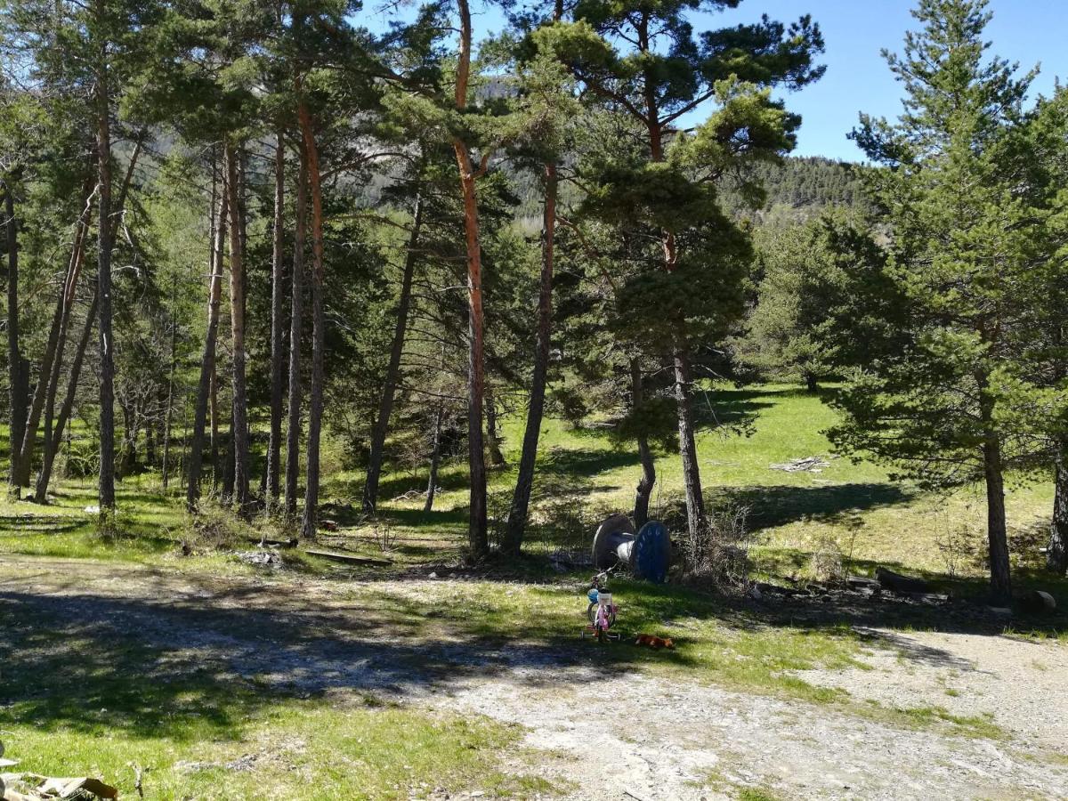 Les Pinees Ξενοδοχείο Chateauroux-les-Alpes Εξωτερικό φωτογραφία